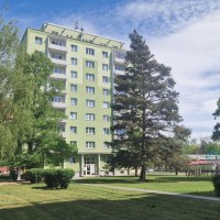 50_7431288356.jpg
